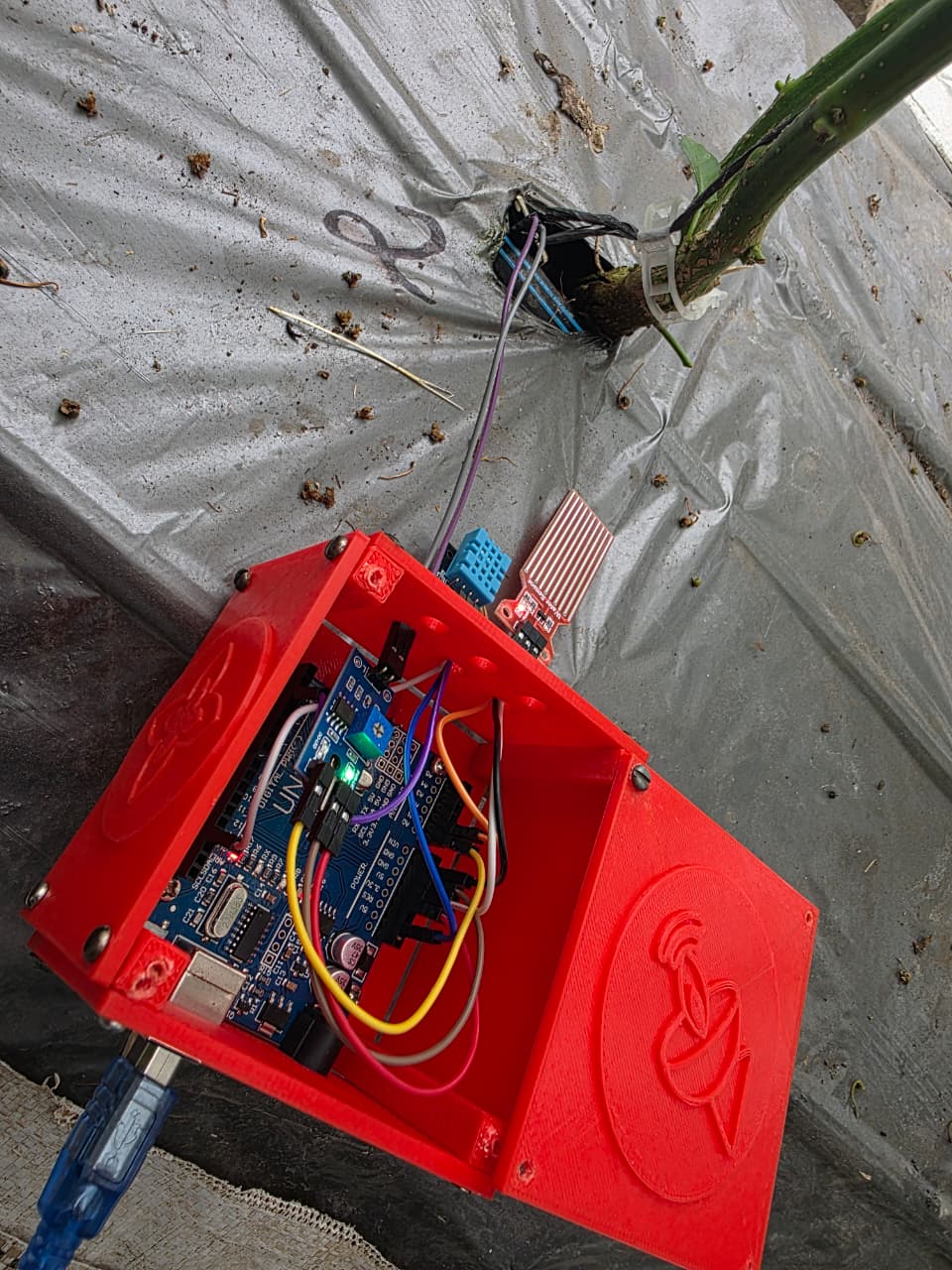 Evidencia de campo 1