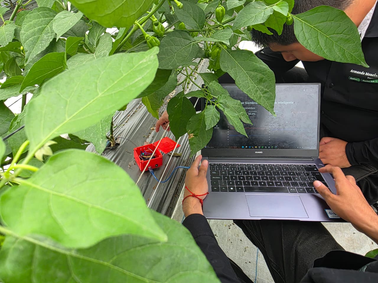 Evidencia de campo 10