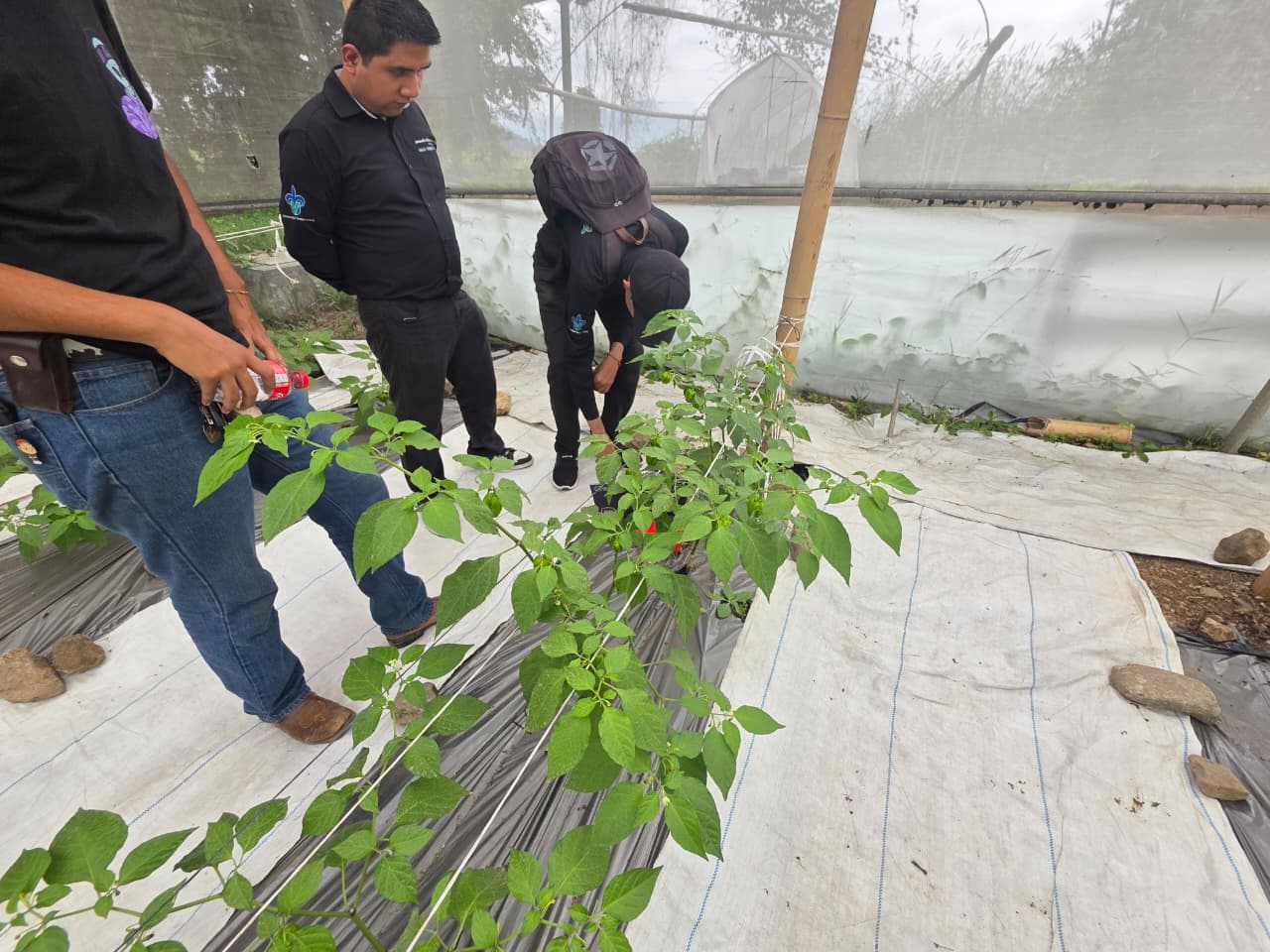 Evidencia de campo 3