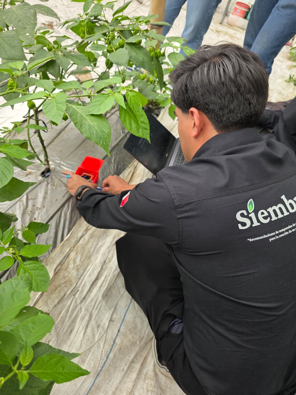 Evidencia de campo 6