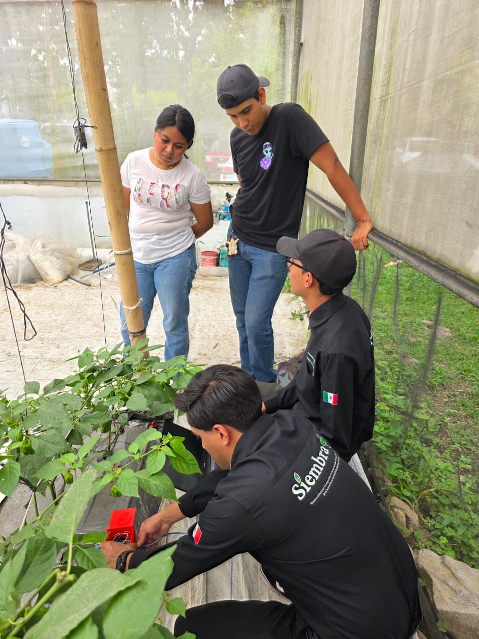Evidencia de campo 7